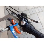 детски велосипед TARANTULA KIDS SPORT 20 цола SHIMANO NEXUS детски велосипед TARANTULA KIDS SPORT 20 цола SHIMANO NEXUS